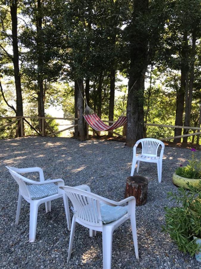 Hostel Isla Del Rey Валдивия Екстериор снимка